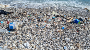  Η θάλασσα των πλαστικών στη γειτονιά παραλιακών περιοχών του Λασιθίου