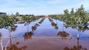 Κακοκαιρία Daniel: Στοίχημα το άνοιγμα των σχολείων