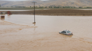 Παράταση υποβολής δηλώσεων ΟΣΔΕ για πληγείσες περιοχές​