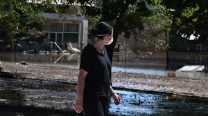 Θεσσαλία: Αγώνας δρόμου για αποτέφρωση των νεκρών ζώων