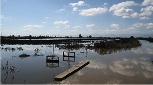 Κακοκαιρία Daniel: Τι δίνει ο θεσσαλικός κάμπος – Τι θα ακριβύνει λόγω εισαγωγών