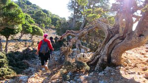 Στον μαγευτικό Καθαρό ο Ορειβατικός Σύλλογος Αγίου Νικολάου