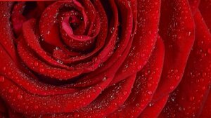 Εθελοντική Αιμοδοσία στο αίθριο της Λότζια για όσους έχουν ανάγκη