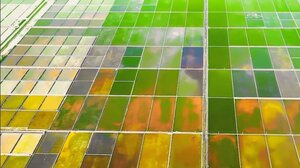 Μαγική εικόνα οι αλυκές στην Κίνα