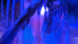 Διαδηλωτές για το κλίμα έβαψαν πορτοκαλί ομοίωμα δεινοσαύρου στο Μουσείο Φυσικής Ιστορίας του Λονδίνου