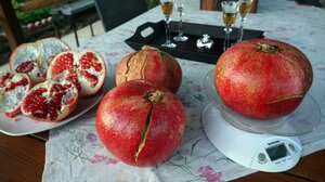 Τρόφιμα εμπλουτισμένα με αντιοξειδωτικά, με τη βοήθεια νέων τεχνολογιών