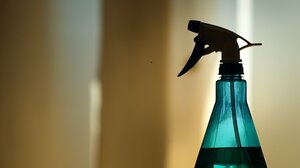 12 εύκολοι τρόποι για να απαλλαγείτε από την μούχλα στο σπίτι σας