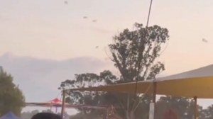 Αδιανόητη φρίκη: Πάνω από 250 νεκροί στο φεστιβάλ μουσικής του Ισραήλ!