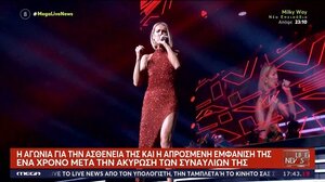 Η πρώτη δημόσια εμφάνιση της Σελίν Ντιόν μετά από 3,5 χρόνια