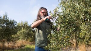 Άφαντοι οι εργάτες γης από τη Δυτική Μακεδονία στην Κρήτη