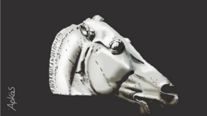 «Δεν είναι ιδιοκτησία κανενός»