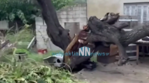 Πυροσβεστική: Χαμός από τις κλήσεις λόγω της κακοκαιρίας - Συστάσεις της Πολιτικής Προστασίας