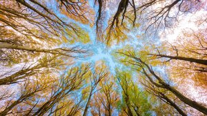 Αραιές νεφώσεις και νοτιάδες στην Κρήτη την Τετάρτη