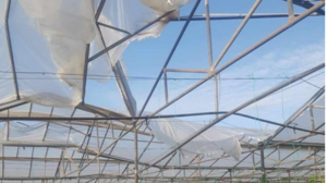 Αναλαμβάνει δράση ο Δήμος Φαιστού για τις ζημιές από τον ανεμοστρόβιλο στο Τυμπάκι