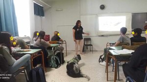 Στο Γυμνάσιο Τυλίσσου το πρόγραμμα "Ενσυναίσθηση και ζώα"