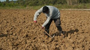 Τροπολογία συνδέει την άδεια παραμονής με την αγορά εργασίας 
