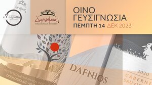 Οινογευσιγνωσία με το Οινοποιείο Δουλουφάκη 