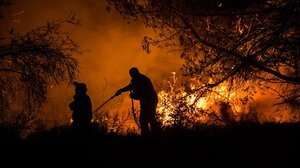 Πυρκαγιά στην Άνδρο – Μεγάλη κινητοποίηση της Πυροσβεστικής