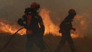  Κικίλιας: Δημιουργούμε 10 νέες μονάδες δασοκομάντος