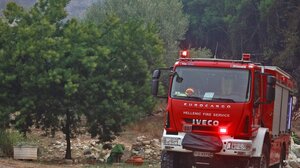 Κινητοποιήθηκε η Πυροσβεστική για τη φωτιά στον Άγιο Μύρωνα