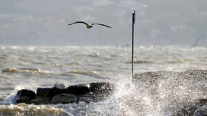 Αναγγελία ζημιάς από ανεμοθύελλα από τον ΕΛΓΑ