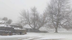 Meteo: Ψύχος από Ρωσία και Σκανδιναβία έρχεται στην Ελλάδα - Πού θα χιονίσει 