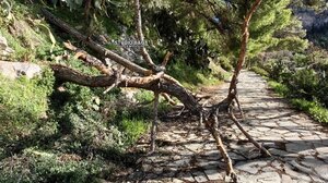 Δ. Δουλουφάκης: «Καλούμε τον λαό να εναντιωθεί και να διεκδικήσει την ζωή που του αξίζει»