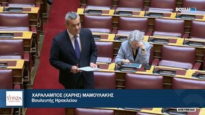 Μαμουλάκης: Η Κυβέρνηση της ΝΔ φέρει ακέραια την ευθύνη για τη μη πιστοποίηση ασφαλείας 14 αεροδρομίων της χώρας 