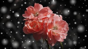 Εορτολόγιο: Ποιοι γιορτάζουν σήμερα 29 Ιανουαρίου