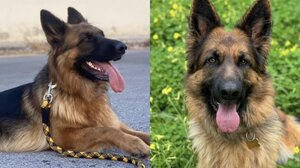 "Αναζητώντας τη Ράντα" - Μια διαφορετική εξόρμηση με... έπαθλο 