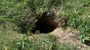 Κορινθία: Πολύτεκνη οικογένεια ζει σε λαγούμι 30 μέτρων 