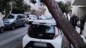 Προς επανεξέταση το θέμα της κοπής των επικίνδυνων δέντρων στο Ηράκλειο