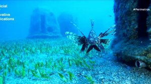 Το πρώτο καταδυτικό πάρκο στην Κρήτη