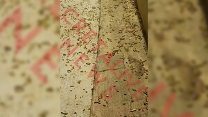 Ενώπιον της δικαιοσύνης ο πατέρας για την "καταιγίδα" από σφαίρες στη βάπτιση