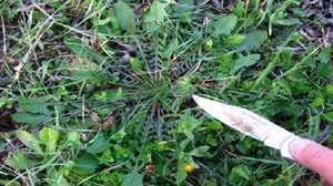 "Πάμε χόρτα" - Ένα διαφορετικό πρόγραμμα δράσεων