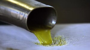 Ελαιόλαδο: Πότε αναμένεται η πτώση της τιμής του 