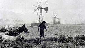 "Η γυναίκα έπρεπε να γιορτάζει κάθε μέρα για τους αγώνες και τα επιτεύγματα της"