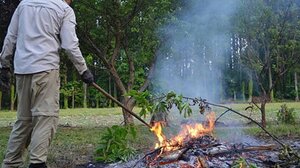 "Καμπάνα" σε Χανιώτη για υπαίθρια καύση