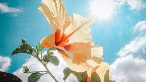 Λιακάδα και ζέστη το Σάββατο στην Κρήτη