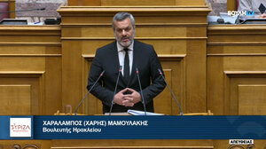 Μαμουλάκης για μη κρατικά πανεπιστήμια: «Οι επίορκοι του Συντάγματος θα πρέπει να λογοδοτήσουν»