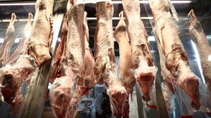 "Να πουλήσουμε αλλά όχι να... χαρίσουμε" - Τι τιμή "κλείδωσαν" οι κτηνοτρόφοι για τα αρνιά