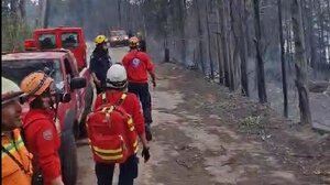 Σούδα: Χωρίς ενεργό μέτωπο η φωτιά κοντά στον Ναύσταθμο - Βίντεο και φωτογραφίες