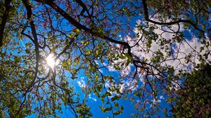 Αλλάζει ξανά το σκηνικό του καιρού - Μετά το καλοκαίρι ξανάρχεται... άνοιξη 