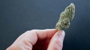 Τον σταμάτησαν για έλεγχο και βρήκαν στην κατοχή του κάνναβη