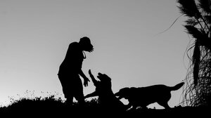 Πώς τα κατοικίδια μπορεί να συμβάλλουν στη μικροβιακή αντοχή