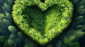 “Let ’s Do It Greece” στον Δήμο Χερσονήσου