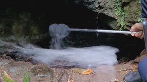 Η μοιραία "Σπηλιά του Θανάτου" στην Κόστα Ρίκα