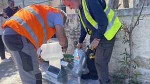 Στοχευμένες δράσεις του Δήμου Χανίων για τα αδέσποτα ζώα συντροφιάς 