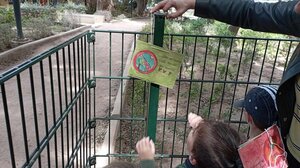 Μια διαφορετική βόλτα στο πάρκο για τα παιδιά του 30ου Νηπιαγωγείου Ηρακλείου