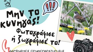 «Μην το κυνηγάς! Φωτογράφισε ή ζωγράφισέ το!» 